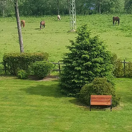 U Elisky Gasthuis