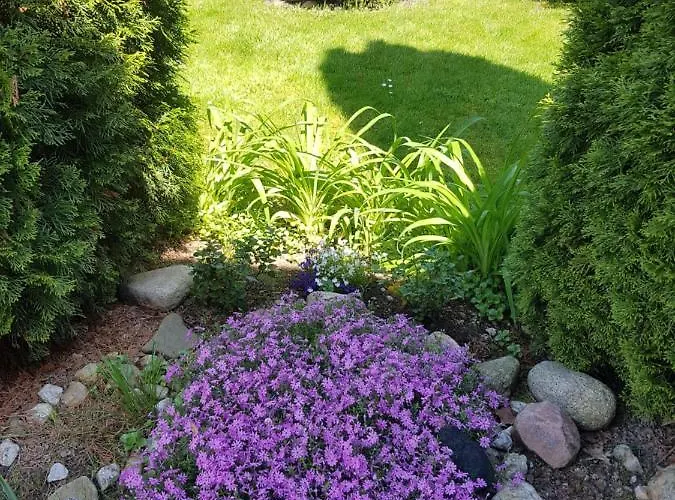 U Elisky Pensión 3*